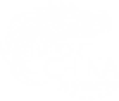 import-china-logo-white-small
